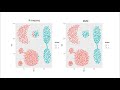 advanced partitional clustering medoids pam and clara and lite versions