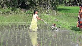 Women empowerment in the field of Agriculture at Alipurduar-1 Block, West Bengal by ATMA.