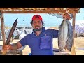 Huge Tuna Fish Cutting Skill | Skipjack Tuna Fish Cutting Skill | Mr.Sampath