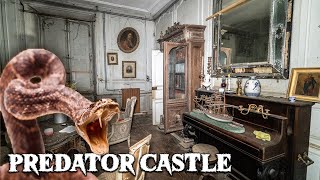 Mystifying Abandoned Predator CASTLE in France | 15TH-CENTURY TIME TREASURE