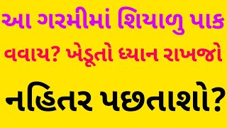 આ ગરમીમાં શિયાળુ પાક અત્યારે વવાય ?ખેડૂતો માટે ખાસ અગત્યની માહિતી વાવણી કરશો તો પછતાશો? agriculture