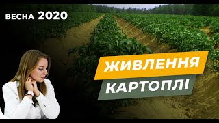 Система живлення картоплі для Вашого поля