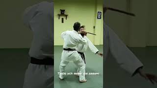 Goshu-Ryu Aiki Jujutsu Sunshine Coast - Aiki Jujutsu vs tanjo (stick)