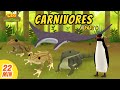 Carnivores Minisode Compilation (Part 4/6) - Leo the Wildlife Ranger | Animation | For Kids | Family