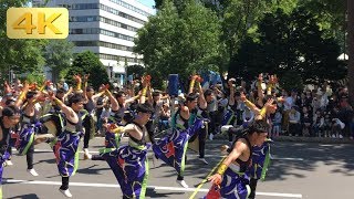 2019 6/9 昼 平岸天神 5パレ目 YOSAKOIソーラン祭り YOSAKOI SORAN Festival