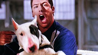 Adam Sandler takes a dog hostage! | Bulletproof | CLIP