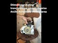 démontage moteur tronçonneuse piston chemise stihl chainsaw husqvarna loggers élagueuse