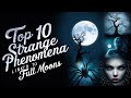 Top 10 Strange Phenomena Linked to Full Moons