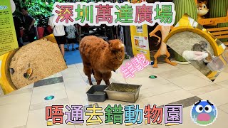 深圳萬達廣場唔通去錯動物園 #深圳  #萬達廣場 #動物園