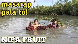 Nipa fruit ,masarap pala to!