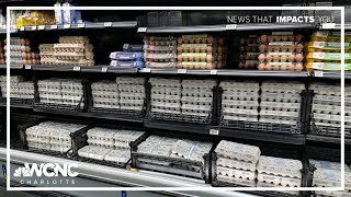 Nationwide egg shortage reaching new levels