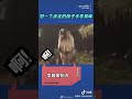 李易峰 liyifeng 李易峰專訪：好皮，聊不下去了。