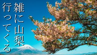 山梨県を雑に巡る車中泊