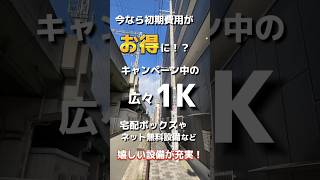 【今ならお得！！】なんば直通・駅近の広々1K！人気設備も揃って今なら敷金礼金ゼロ！#お部屋探し #部屋探し #1k