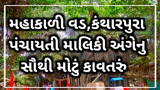 મહાકાળી વડ કંથારપુરા પંચાયતી માલિકી અંગેનુ કાવતરું | વડની માલિકી માટે ઘડાયો કારસો | Mahakali Vad