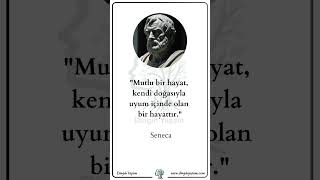 3 Müthiş Seneca Sözü! | Seneca | Dinginyasam.com #felsefe #anlamlısözler