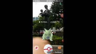 포켓몬고 마기라스 레이드 : 93% 졸업급 마기라스 공15 획득! 환호 조심! with 데구리님 Tyranitar RAID | POKEMON GO [대잭팟 게임실황]