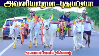 3காளையார்கோயில்-17.000ஆயிரம்-பந்தயம்24.01.2025