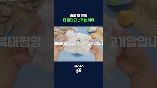 여기 어항인가요? 다시 찾아온 습한 날씨 ㅠㅠ #shorts / 스브스뉴스