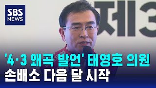 '4·3 왜곡 발언' 태영호 의원 손배소 다음 달 시작 / SBS