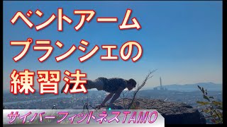 ベントアームプランシェの練習法【ストリートワークアウト・サイバーフィットネスTAMO】