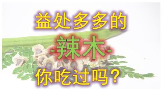 辣木魔法：大自然的绿宝石