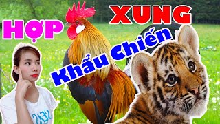 💓Tuổi Dần và Dậu Có Hợp Tuổi Nhau Không?| Tử Vi 365 (Cực Hay)