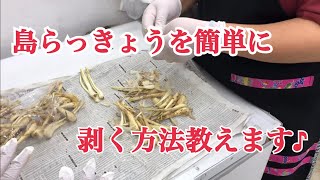 ぷからす家　沖縄の食材　【島らっきょう】の皮を簡単に剥く方法！