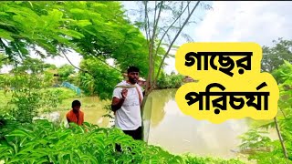 বৃক্ষ রোপন এবং গাছের পরিচর্যা আমাদের সামাজিক দায়িত্ব। tree plants 🌳 গাছের প্রাণ আমাদের প্রাণ