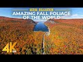 [4K HDR] Stunning Fall Foliage of the World - Drone Views of Vibrant Autumn + Real Nature Sounds