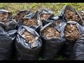 How to Make Compost - Compost Pile Tips