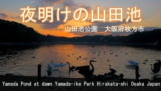 ［４K］夜明けの山田池　大阪府枚方市　2019 Yamada Pond at dawn Yamada-ike Park Hirakata-shi Osaka Japan