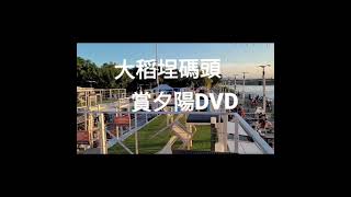 大稻埕碼頭賞夕陽DVD