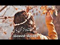 bhul bakhshawan aaya hai wajid ali baghdadi new song slowed and reverb ..