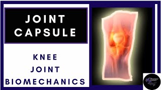 knee joint capsule layers and function made easy(knee bio-mechanics physiotherapy tutorials)