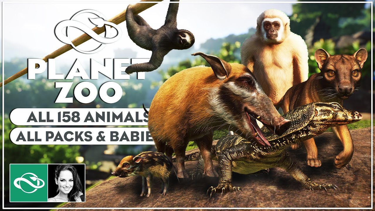 All 158 Animals & Babies | Every Official Planet Zoo Animal - YouTube