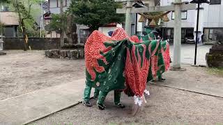 花里八幡神社　獅子組　獅子舞「大だいかぐら」