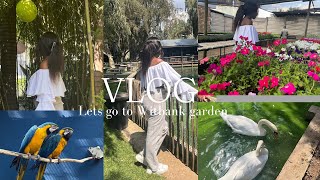 Vlog | Witbank garden | spend the day with me