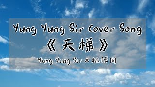 【翻唱】天梯｜Yung Yung Sir × 林倬同｜2024