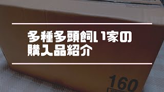 【購入品紹介】67匹多頭飼いの1ヶ月消耗品など