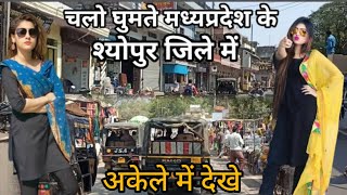 श्योपुर market का सुंदर नजारा😎| मध्य प्रदेश का अनोखा शहर 👈#sheopur @monukushwahvlog