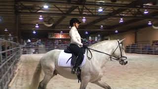 lightness of french dressage