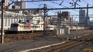 【JR東日本】185系200番台 14両の長編成(後ろは湘南色) Limited express Train