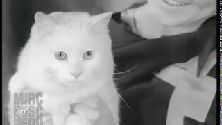 1929--Cat show--outtakes