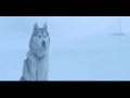 EIGHT BELOW-The evacuation