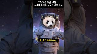 우주비행사를 꿈꾸는 루이바오: 어부바 나무는 나의 스승 #panda #ruibao #huibao #睿宝 #睿寶