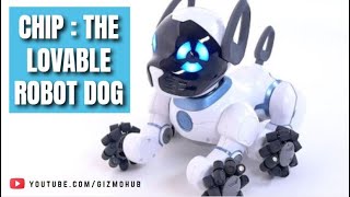 CHIP: YOUR LOVABLE ROBOT DOG | Gizmo Hub