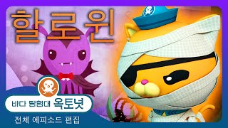 바다 탐험대 옥토넛 - 🏴‍☠️ 전설적인 바다 괴물들 👻 - 30분+ 편집 - 모음집