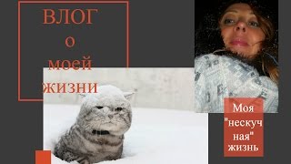 ВЛОГ/VLOG Кормлю с рук❉Вроде ОТКОПАЛИСЬ❉ЦЕНЫ КУСАЮТСЯ?