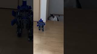 ゾイド　ZOIDS   シールドライガーvsリアルヘルキャット